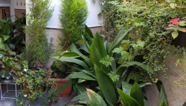 Casabobastro - Foto 3