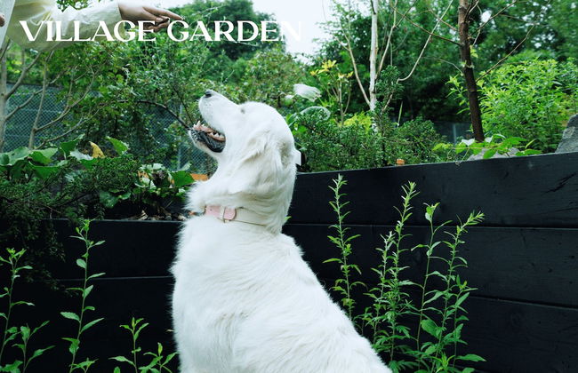 YADOKARI VILLAGE KITAKARUIZAWA - Foto 66