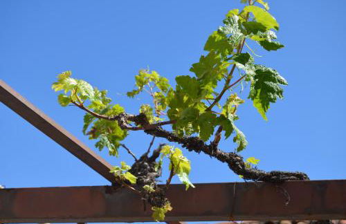 Casa El Patio - Foto 35