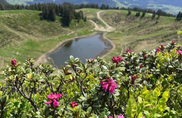 Am Dorfbrunnen in Wertach - Bauernhauscharme im Allgäu - Foto 27