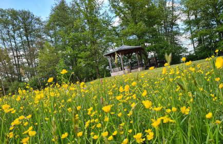 Ferienhaus Im Winkel - Foto 12