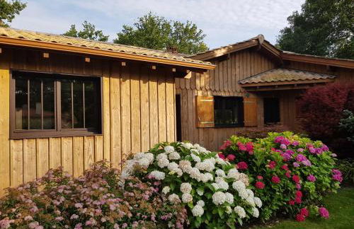 Salamandre et Hippocampe - Foto 23