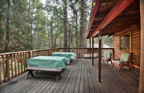 16 Chipmunks Holiday - Foto 39