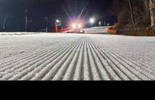 Leszczynka - Foto 25