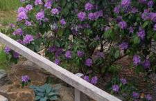 Ferienhaus Sinneswandel - Foto 26