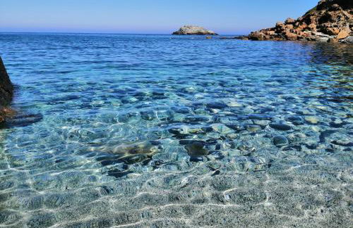 Solmar Apartments - Photo 28