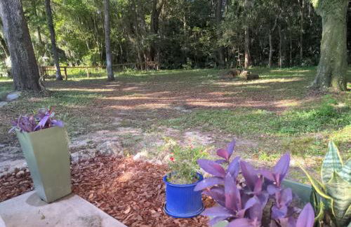 Micanopy Countyline Cottages - Foto 18