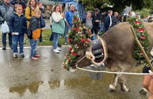 Angelas Ferienwohnungen Oberstaufen - Foto 44