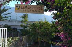 Lemonokipos, holiday house with private pool - Foto 29