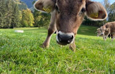 Ferienwohnung Bergtraum - Photo 22