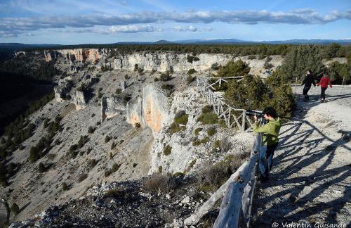 El nido del Mirlo - Foto 56