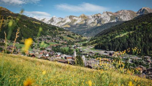 Studio montagnard pour 4 avec parking et animaux admis - FR-1-467-29 - Foto 2