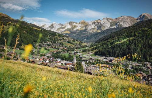 Chaleureux studio 4 pers. au cœur du Grand-Bornand, animaux admis - FR-1-467-27 - Foto 8