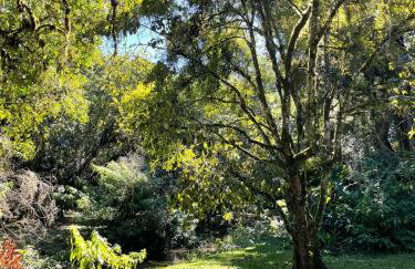 Memora Guesthouse Bateias - Casa Inteira e quartos em chácara - Foto 76