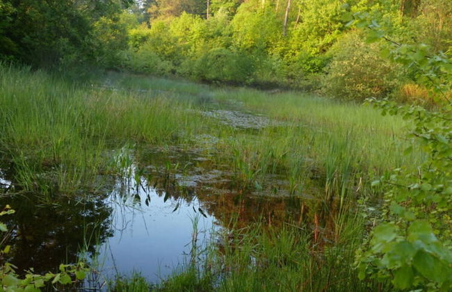 Werts HOF Apartment 2 - Foto 12