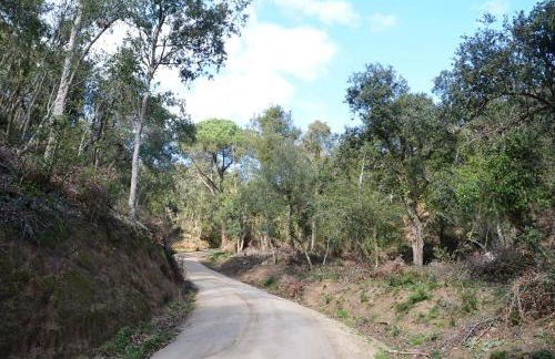 Sea view, Wonderful pool, Nature, Peaceful & AC - Foto 47