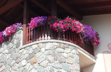 Home Iseo Lake - Photo 32