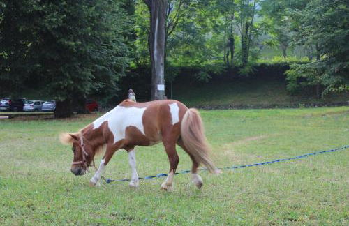 Brezza di Lago - Foto 19