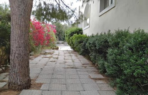 Peaceful oasis - Foto 32