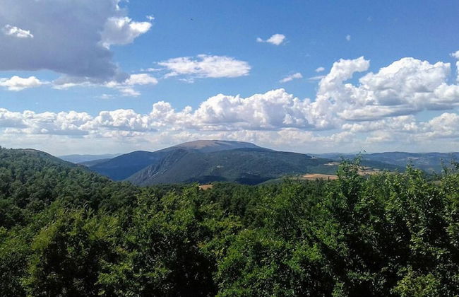 Borgo La Torre - Photo 25