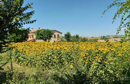 Agriturismo Vallelunga - Foto 10