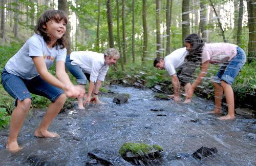 Ferienhof "Alte Försterei" - Foto 23