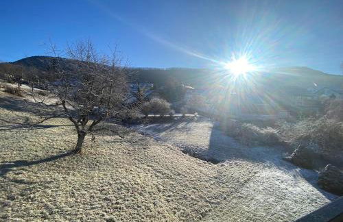 Gemütliche Wohnung mit Berg- und Waldblick - Foto 23