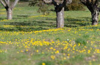 Le Clos d'Estellan - Piscine chauffée - Foto 22
