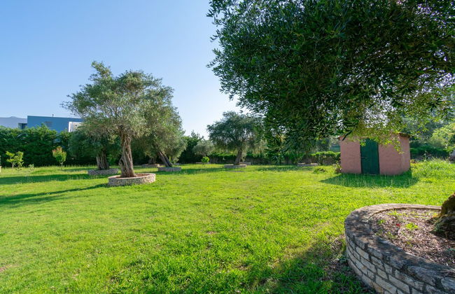 Villa Leo 1 , Dassia , Corfu - Photo 71