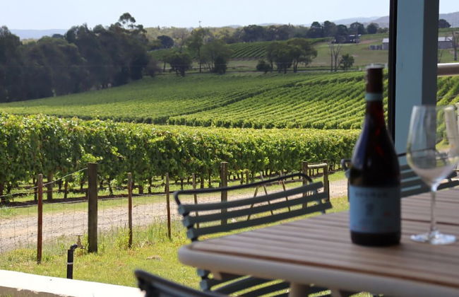 SOUMAH Wines - Photo 33