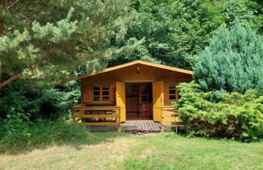 Apartament 59 , ranczoturystyka Bielawa Sudety - Foto 32