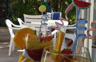 A deux pas des plages un cocon pour vacances en famille ou entre amis - Photo 1