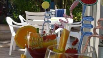 A deux pas des plages un cocon pour vacances en famille ou entre amis - Photo 1