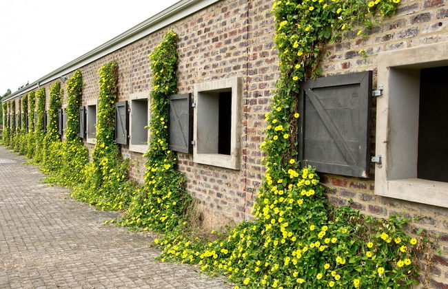 Kay and Monty Vineyard View - Photo 27