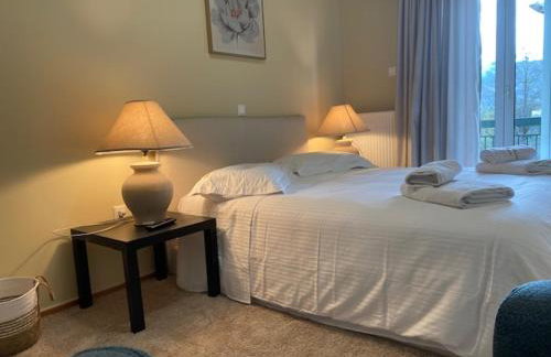 Elitee Superior Mountain Residence - Photo 8