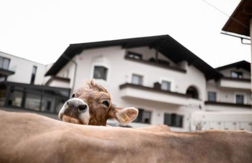 Calva B&B Apartments - Foto 72