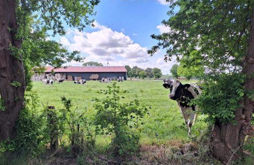 Ferienhaus Landliebe - Foto 24