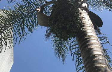 VN MOUNTAIN VIEWS PORTO - Foto 26