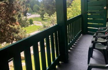 L'Aire des montagnes - Foto 30