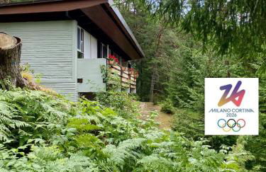 Ca'Mugo, a chalet in the magic woods, near Cortina - Foto 1