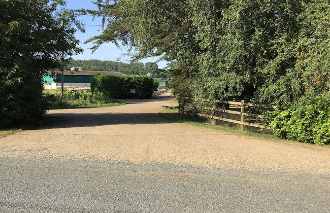 Fazeboons Barn - Foto 25