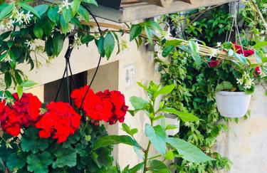 A casa da Anita - Foto 7