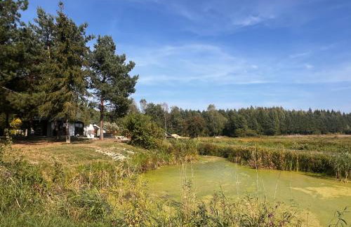 Gajówka Pilica 45A - Foto 30