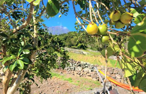 Casa do Almance - Photo 28