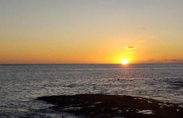 New Tropical Island Ohana near Beach with community Pool Spa Gym PingPong and more - Foto 49