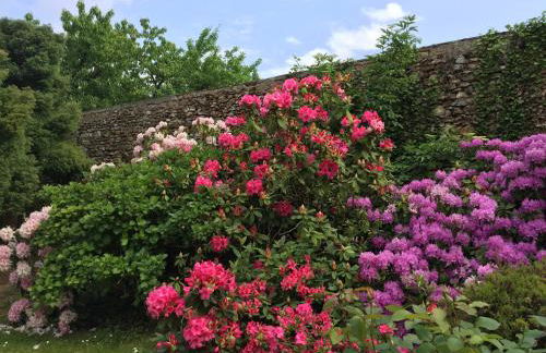 Domaine des Trois chateaux - Foto 76