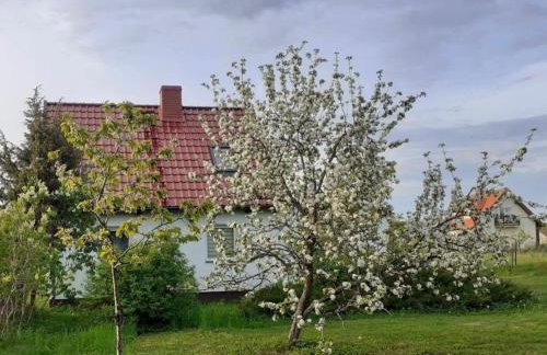 Sleeping Harsz - Foto 20