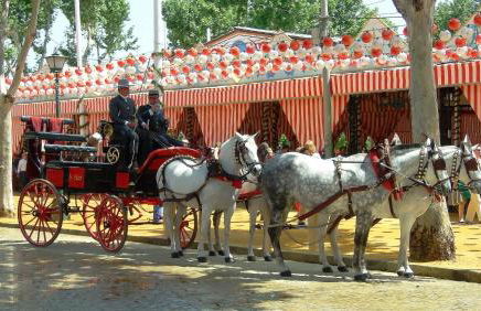 HOME@PORVENIR VFT/SE/03555 - Foto 40