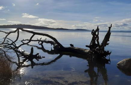 Ferienwohnung Schernau - Foto 12