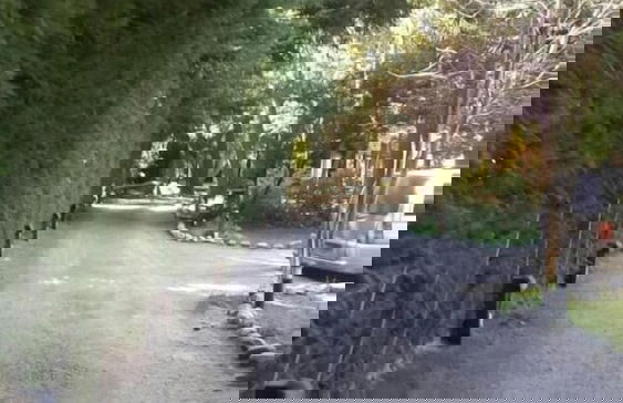 Cabañas Las Maras - Foto 18